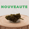 Nouveauté: Fleur de CBD Bubblegum sur socle