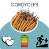 Illustration des bienfaits des Cordyceps