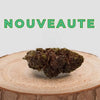 Nouveauté CBD Gorilla, fleur sur tronc, intérieur