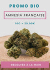 Fleur de CBD Amnesia Française bio, 10g, récoltée à la main