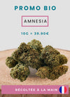 AMNESIA FRANÇAISE FLEUR DE CBD BIO