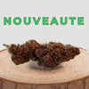 Fleur de CBD Purple Haze nouveauté sur tronc