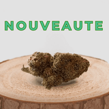 Nouveauté fleur de CBD Royal Cheese sur tronc