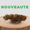 Nouvelle fleur de CBD Tropical sur socle en bois