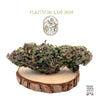 LEGENDARY PLATINIUM OG  - GREENHOUSE | FLEUR DE CBD